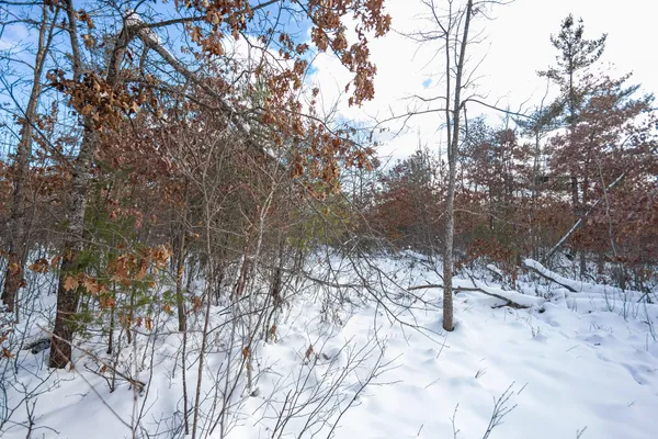$75,000 | Undisclosed Address, Lewiston, MI 49756