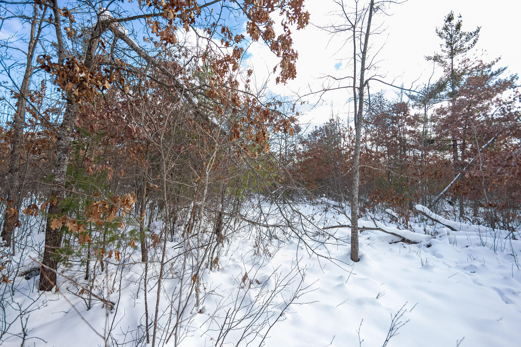 Undisclosed Address Lewiston, MI 49756 - Photo 5 of 18 Lewiston, Michigan-12-X4