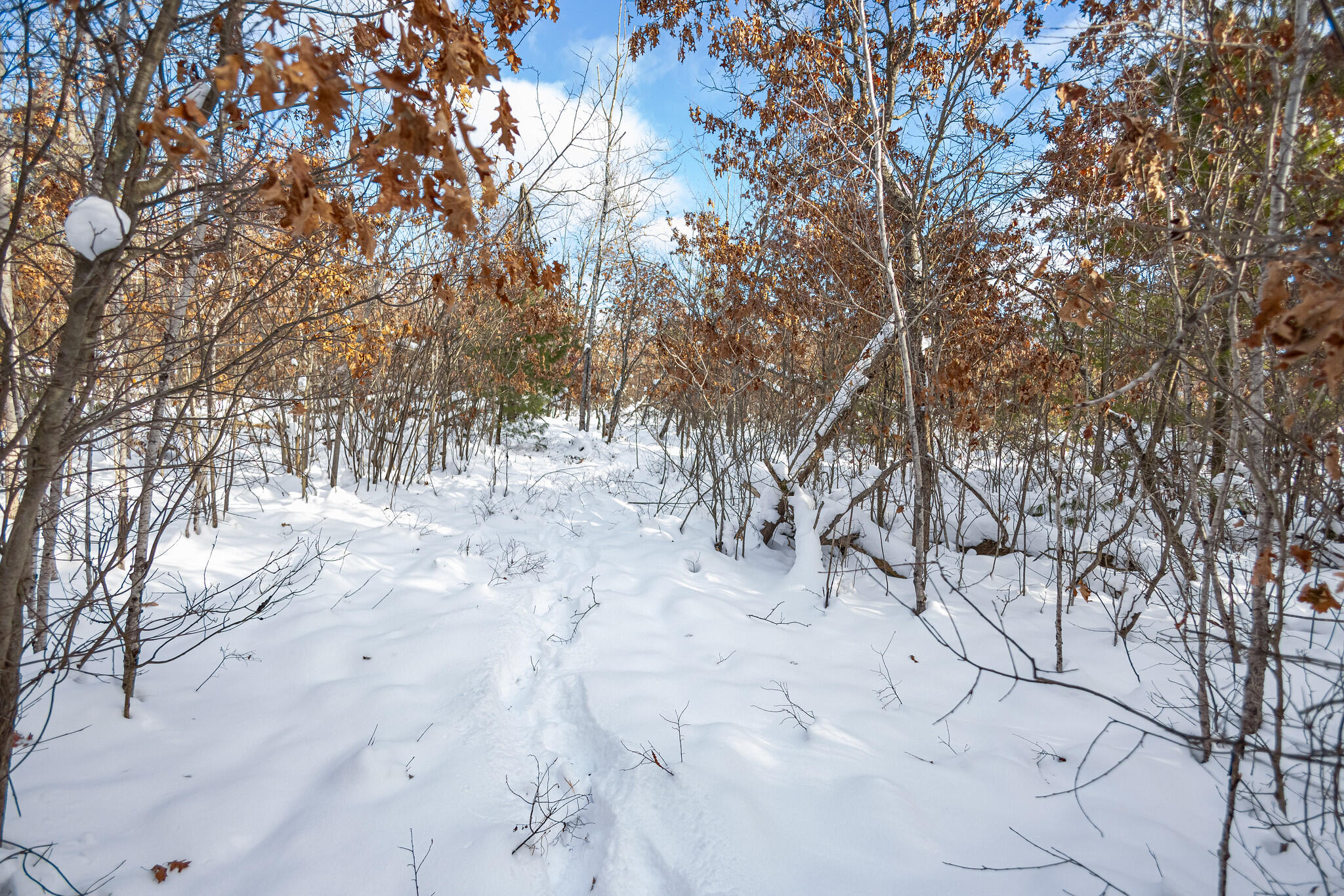 Undisclosed Address Lewiston, MI 49756 - Photo 6 of 18 Lewiston, Michigan-14-X4