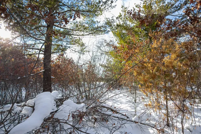 $75,000 | Undisclosed Address, Lewiston, MI 49756