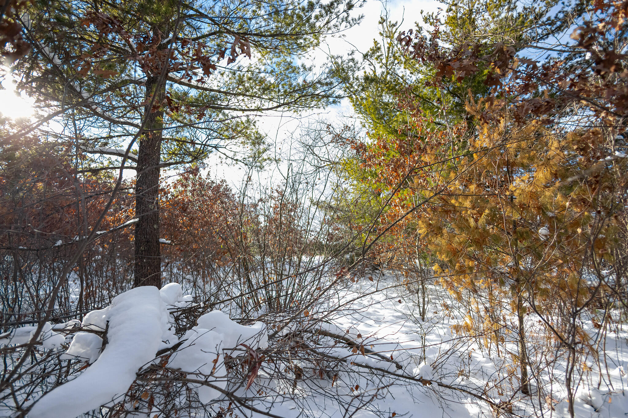 Undisclosed Address Lewiston, MI 49756 - Photo 7 of 18 Lewiston, Michigan-15-X4