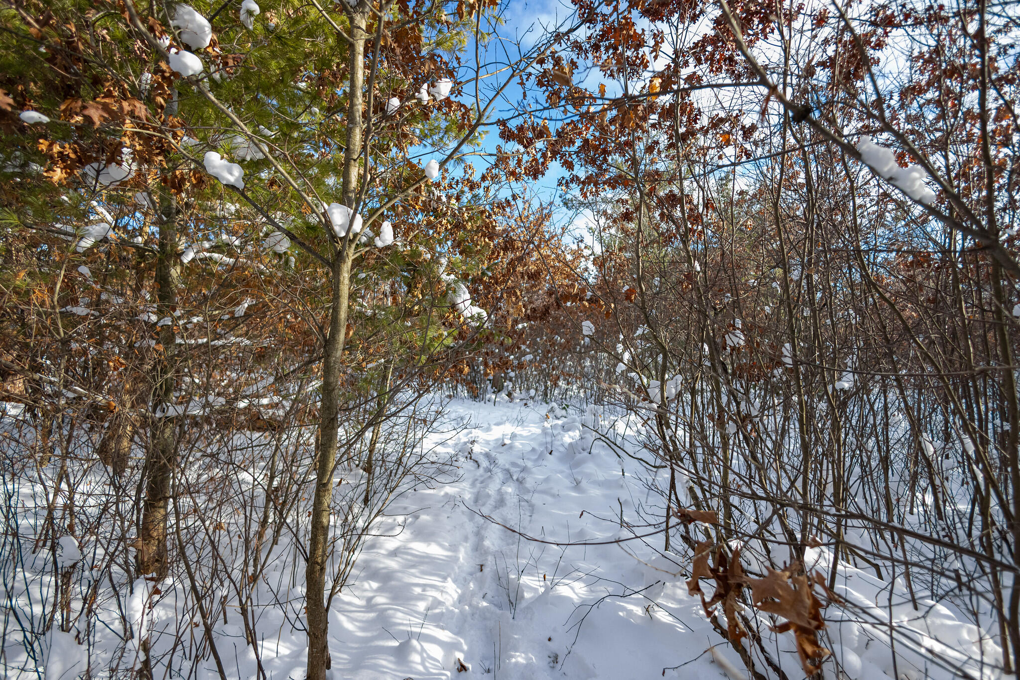 Undisclosed Address Lewiston, MI 49756 - Photo 8 of 18 Lewiston, Michigan-16-X4