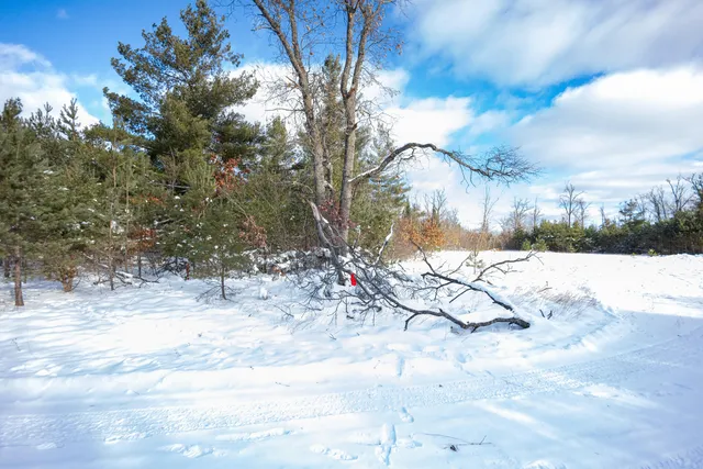 $75,000 | Undisclosed Address, Lewiston, MI 49756