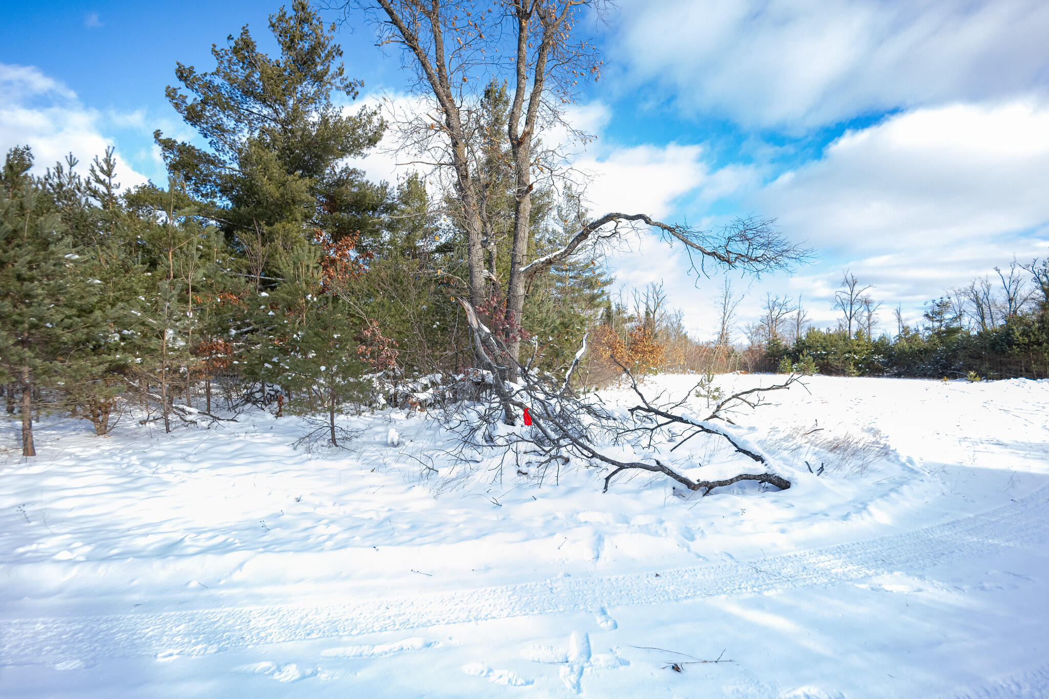 Undisclosed Address Lewiston, MI 49756 - Photo 9 of 18 Lewiston, Michigan-20-X4