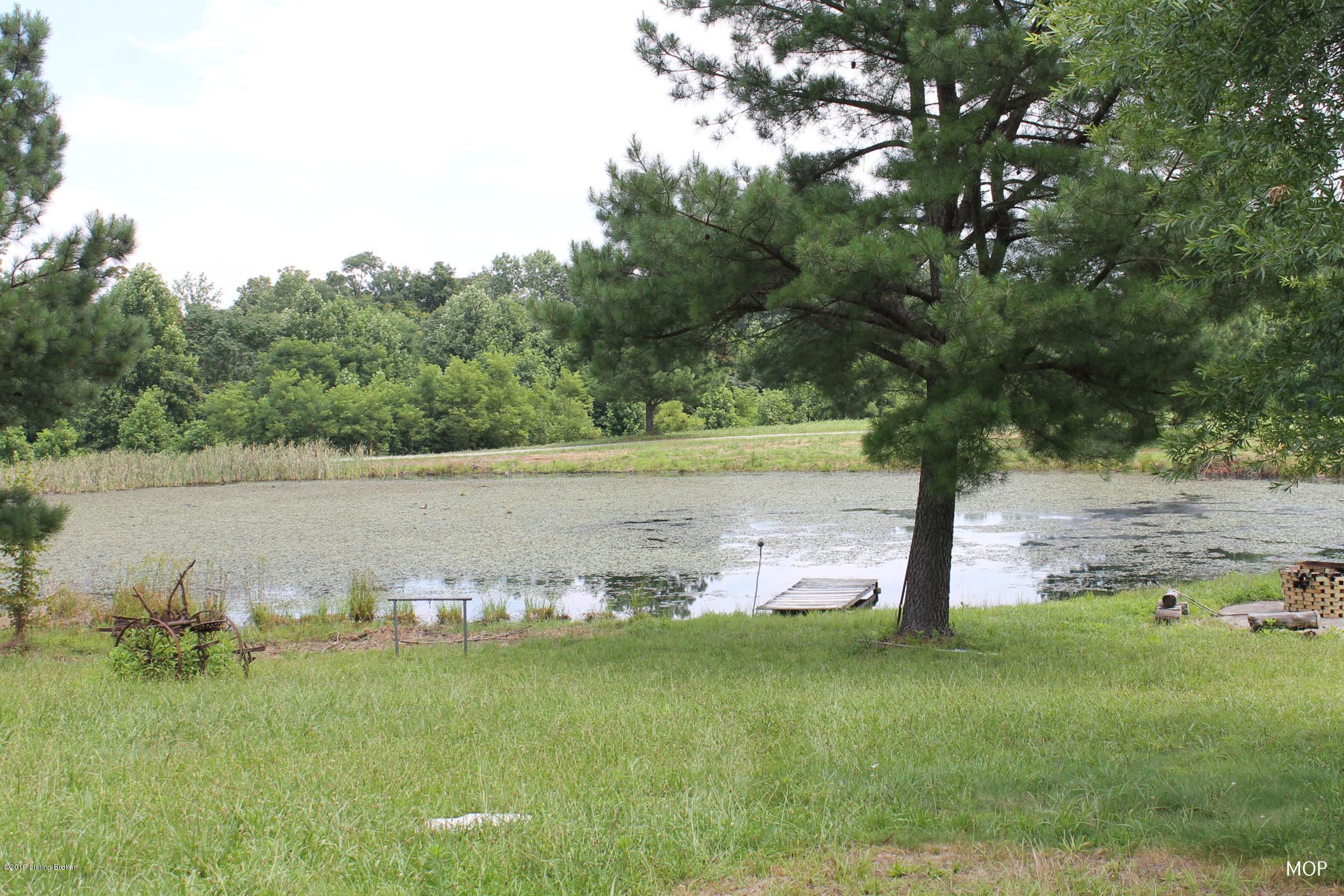 5498 Reese Hurt Road Breeding, KY 42715 - Photo 32 of 41 Pond 14