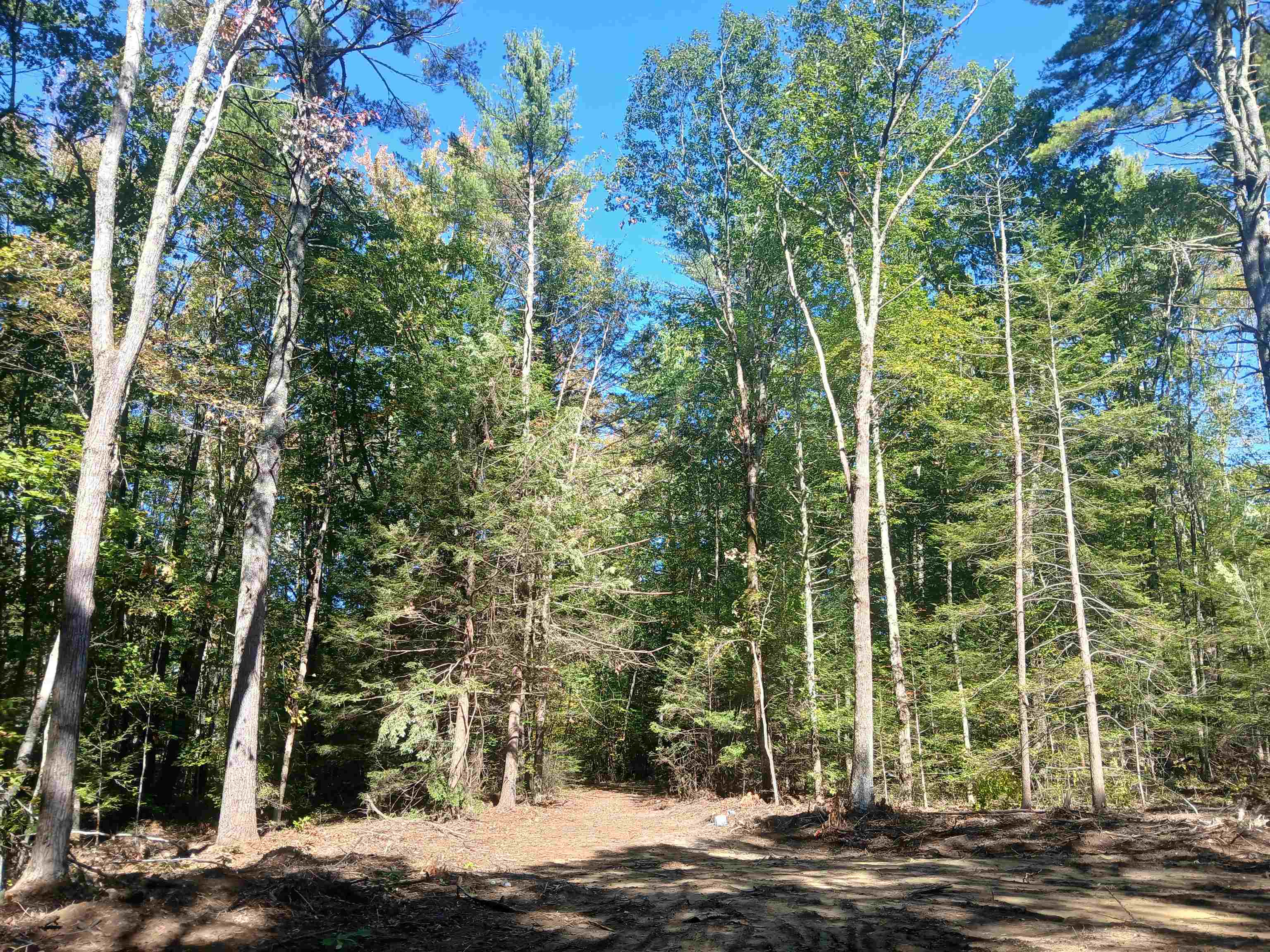 373 Calef Highway Lee, NH 03861 - Photo 11 of 39