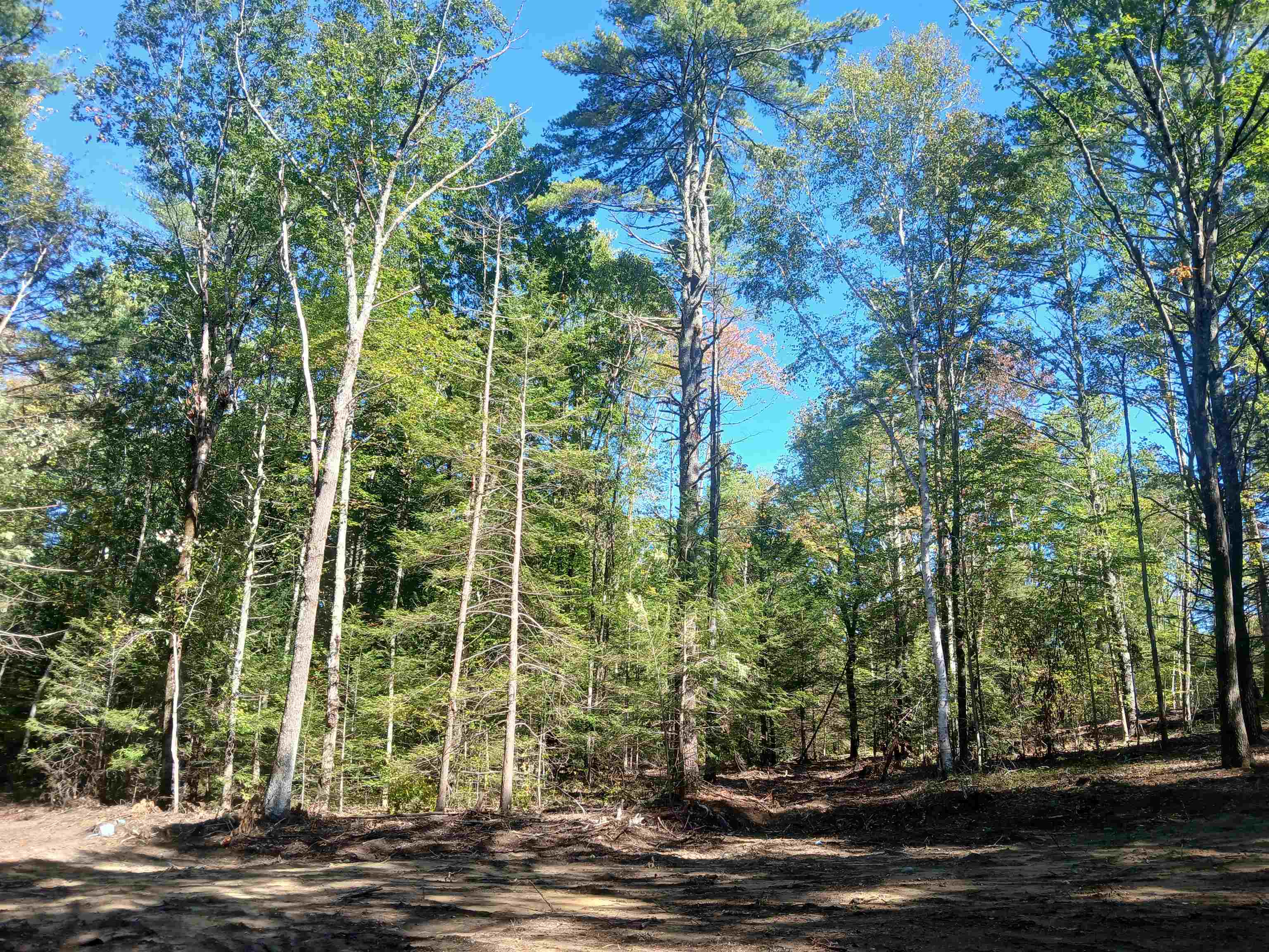 373 Calef Highway Lee, NH 03861 - Photo 12 of 39