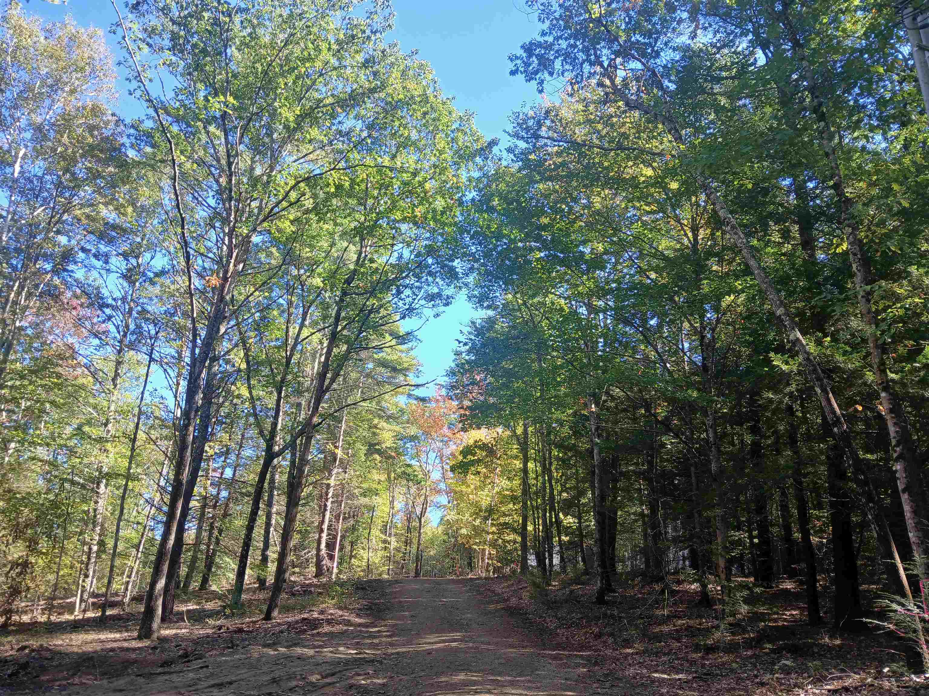 373 Calef Highway Lee, NH 03861 - Photo 13 of 39