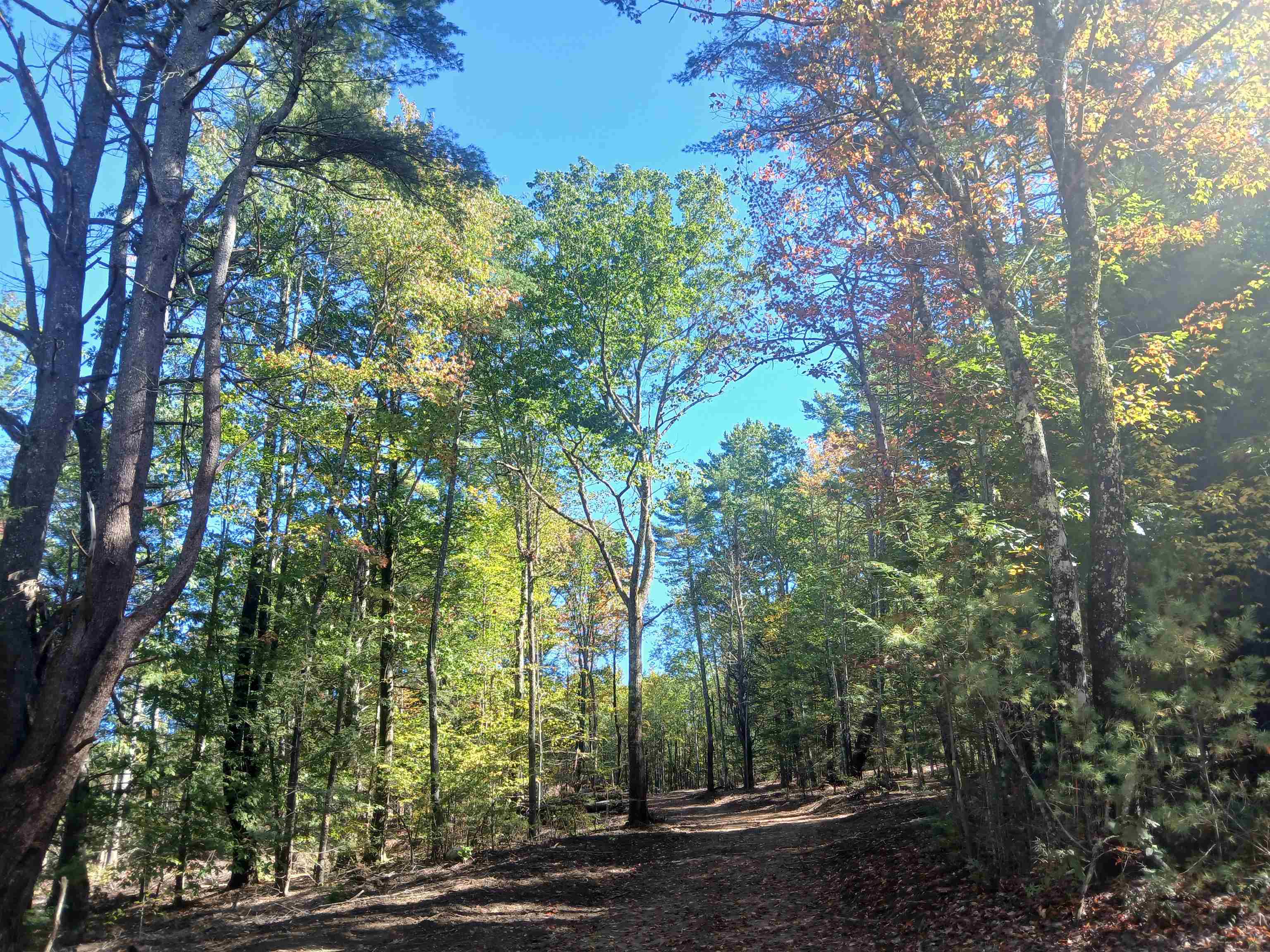 373 Calef Highway Lee, NH 03861 - Photo 14 of 39