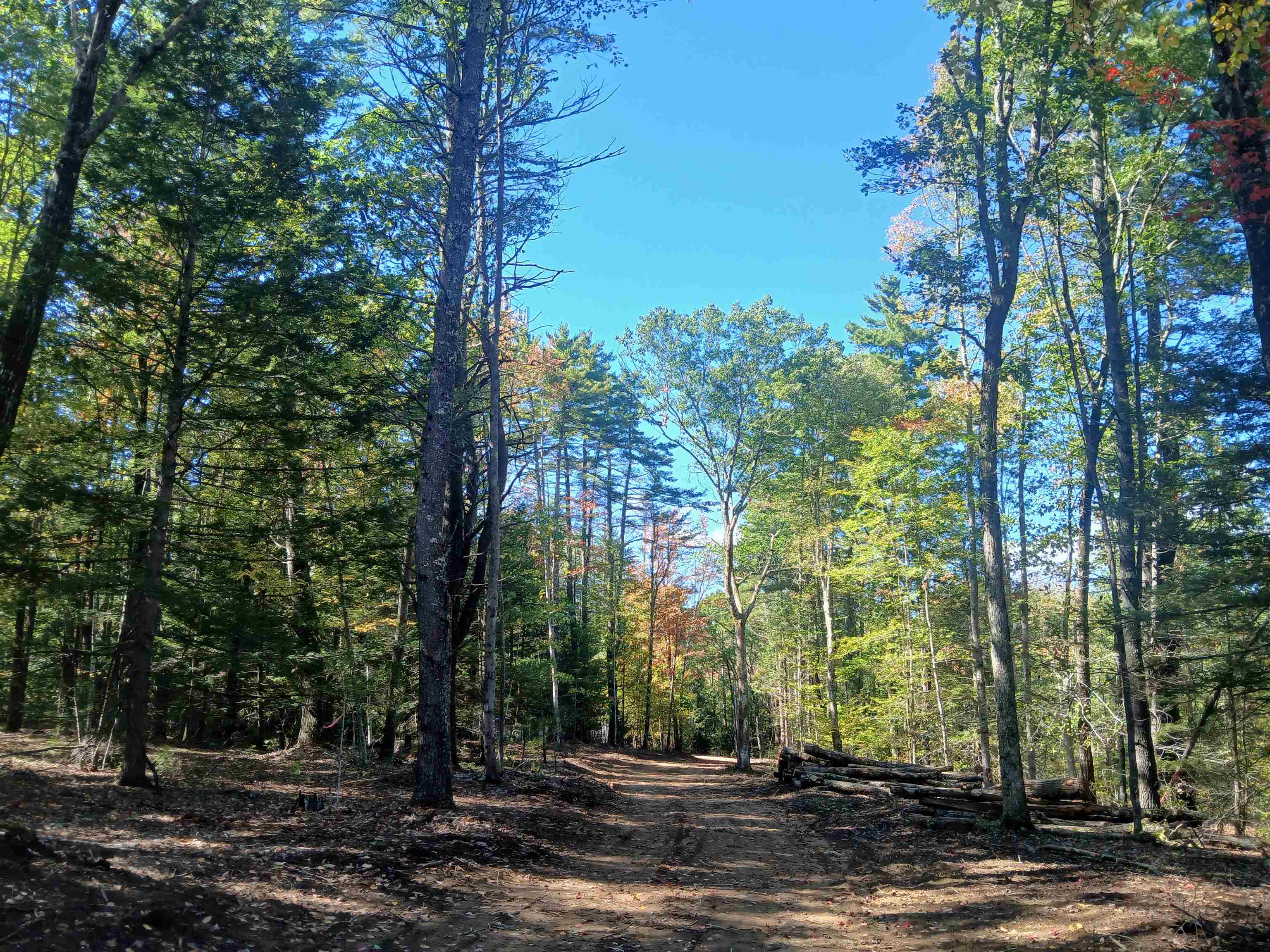 373 Calef Highway Lee, NH 03861 - Photo 15 of 39