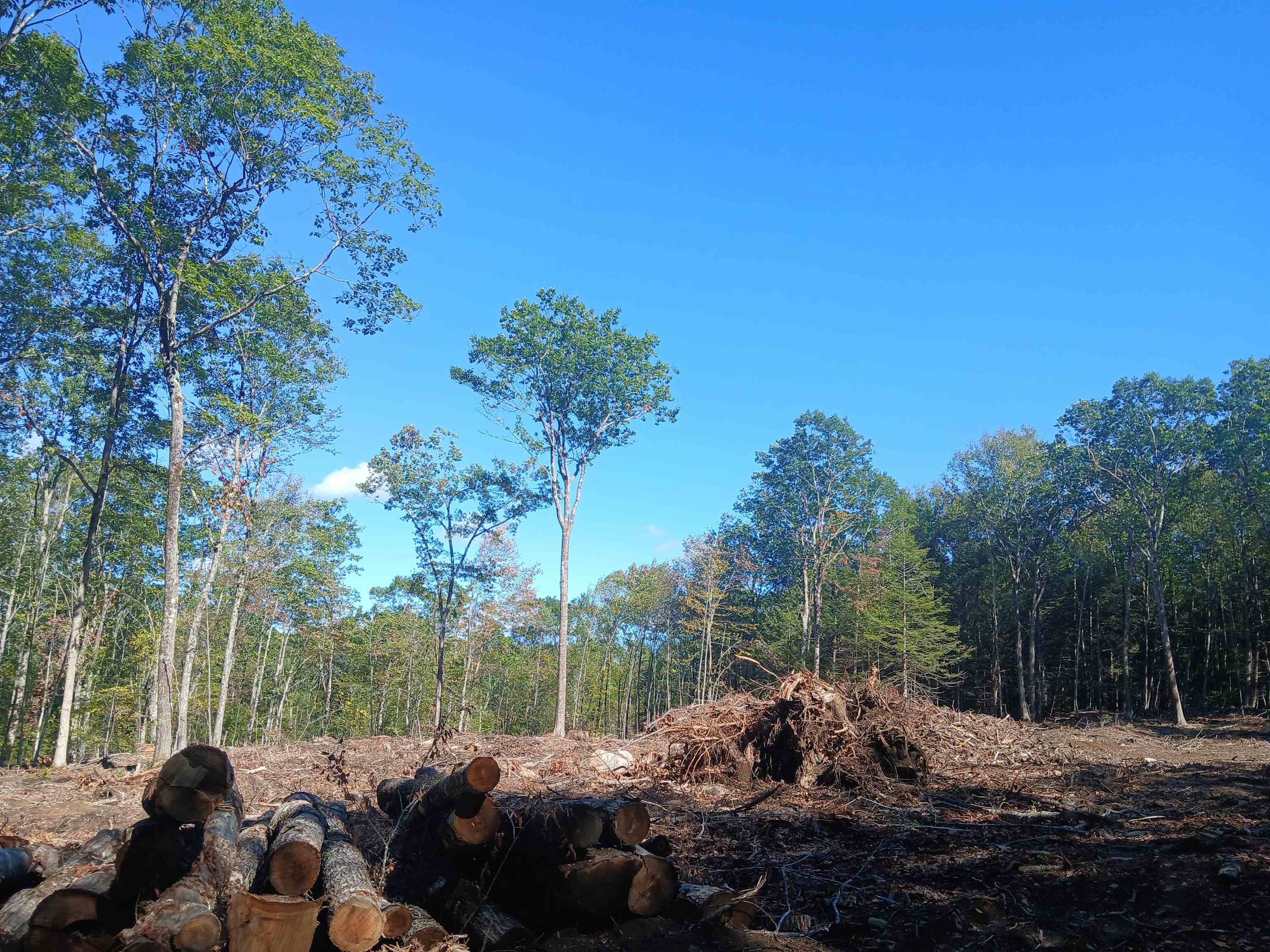 373 Calef Highway Lee, NH 03861 - Photo 18 of 39