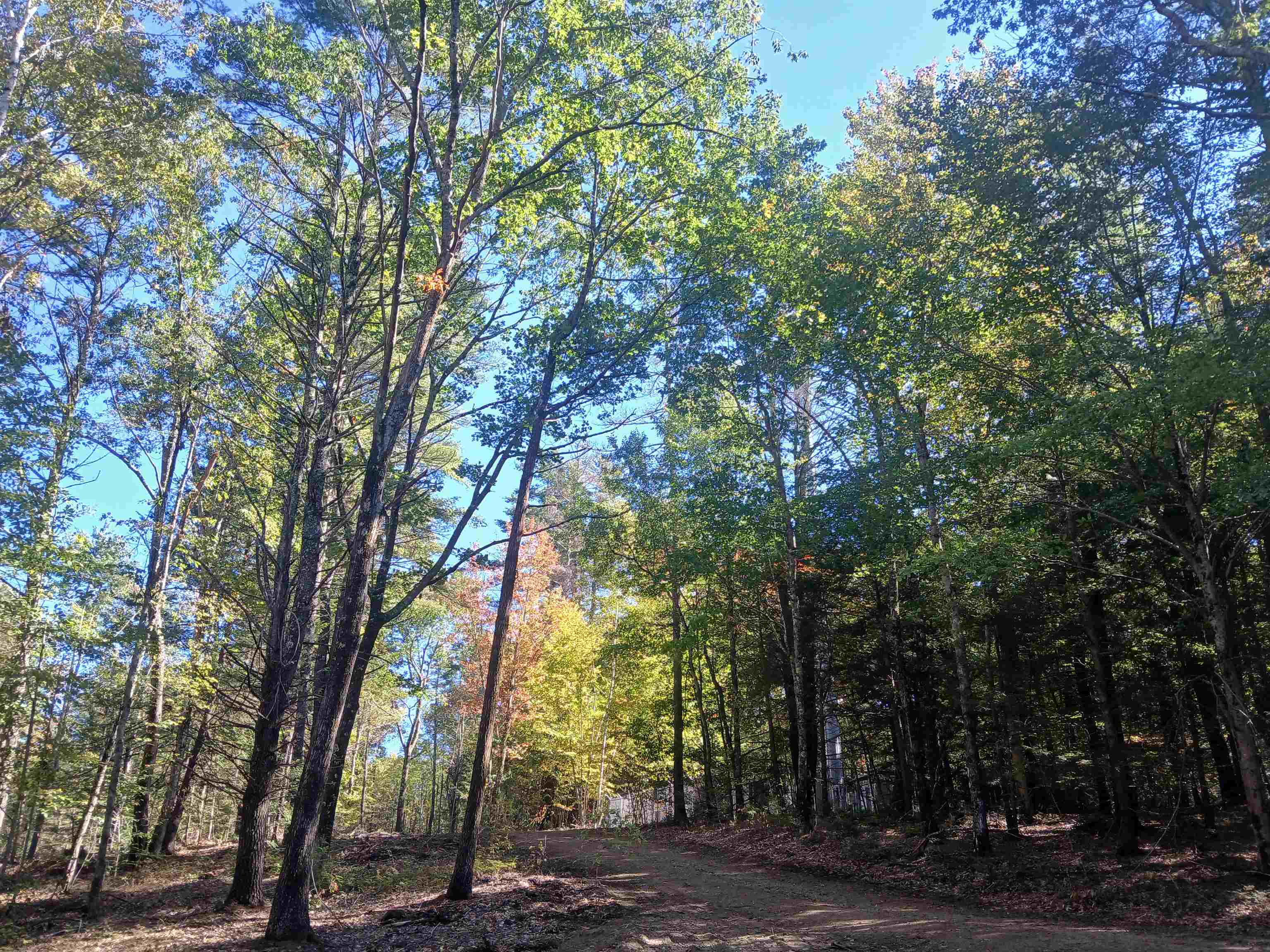 373 Calef Highway Lee, NH 03861 - Photo 21 of 39