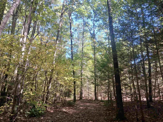 $2,000,000 | 373 Calef Highway, Lee, NH 03861