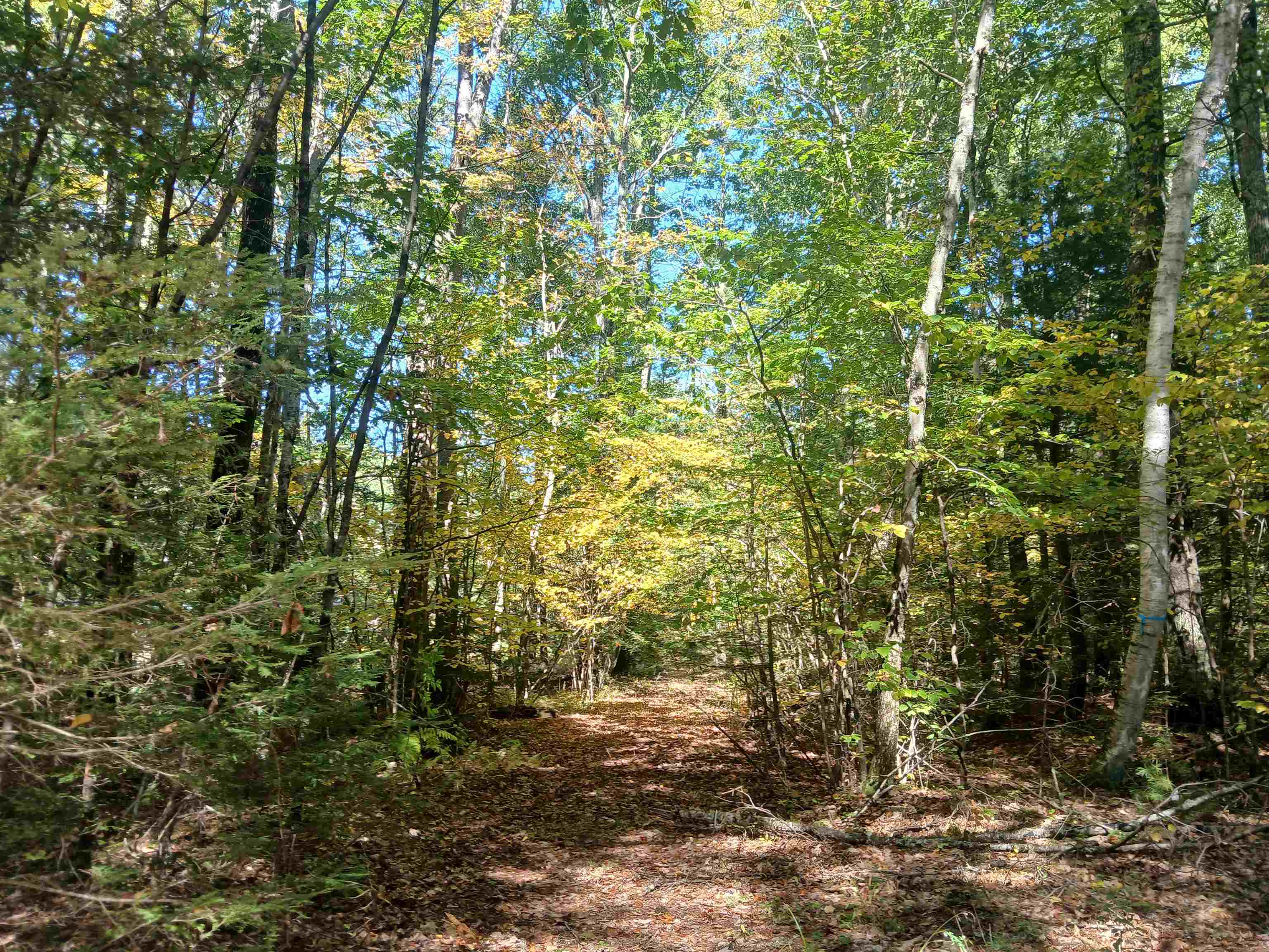 373 Calef Highway Lee, NH 03861 - Photo 23 of 39