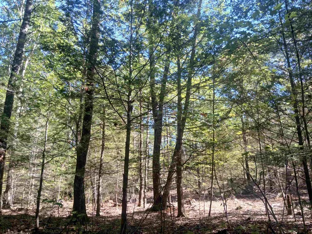 $2,000,000 | 373 Calef Highway, Lee, NH 03861