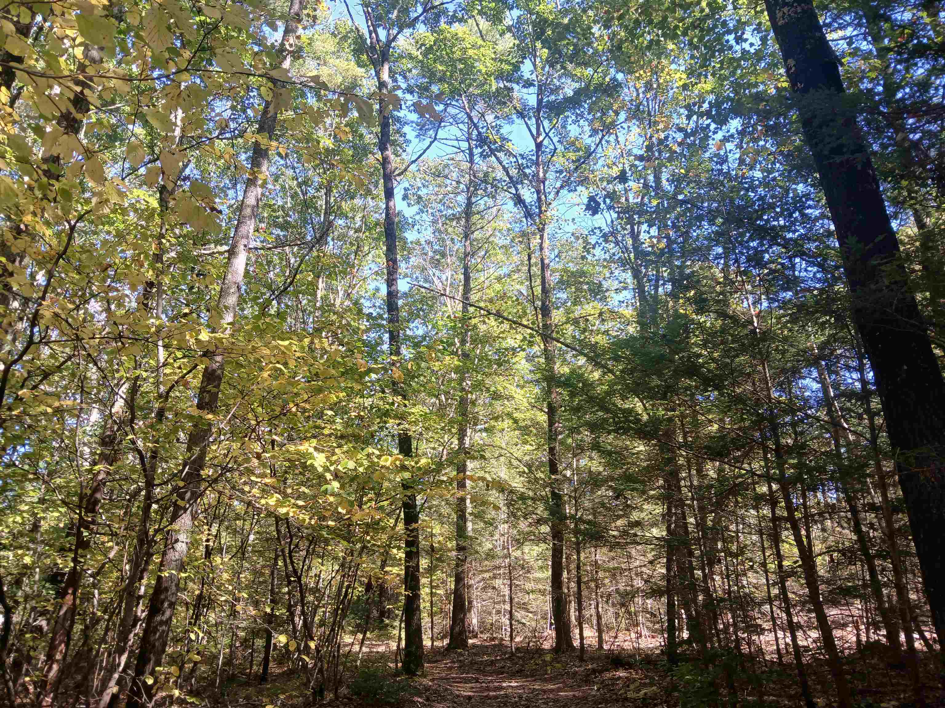 373 Calef Highway Lee, NH 03861 - Photo 25 of 39