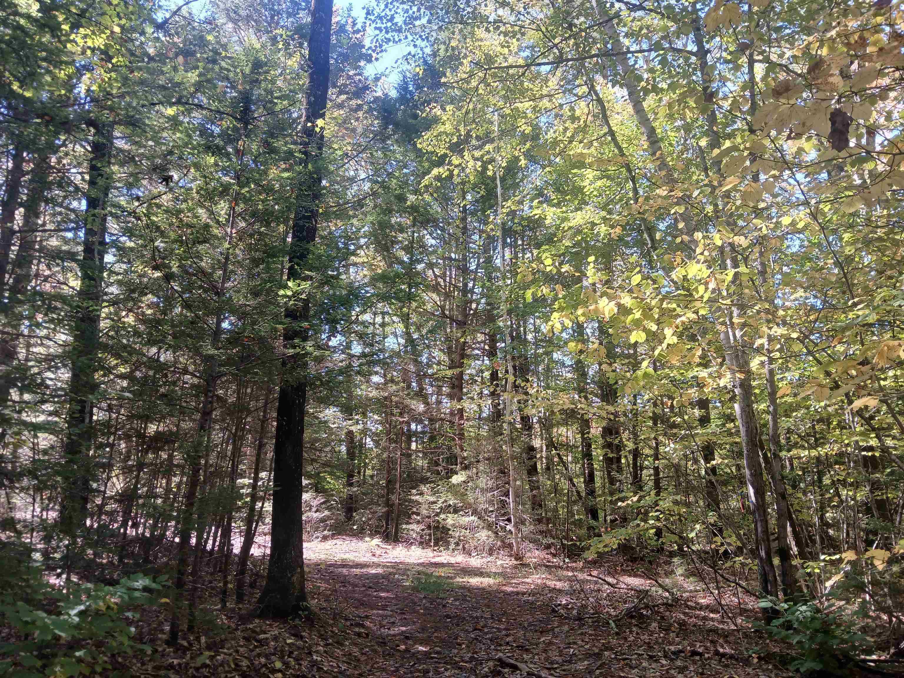 373 Calef Highway Lee, NH 03861 - Photo 27 of 39