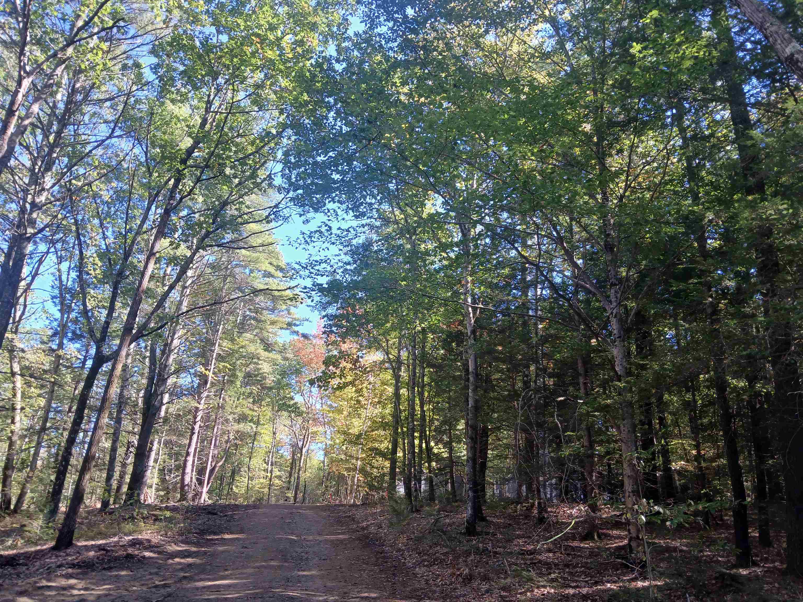 373 Calef Highway Lee, NH 03861 - Photo 35 of 39