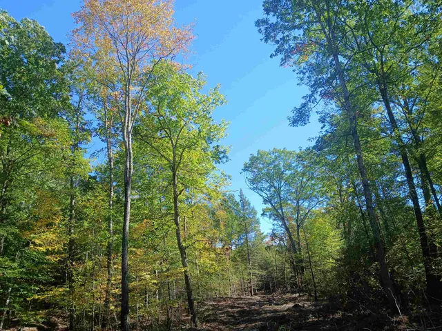 $2,000,000 | 373 Calef Highway, Lee, NH 03861