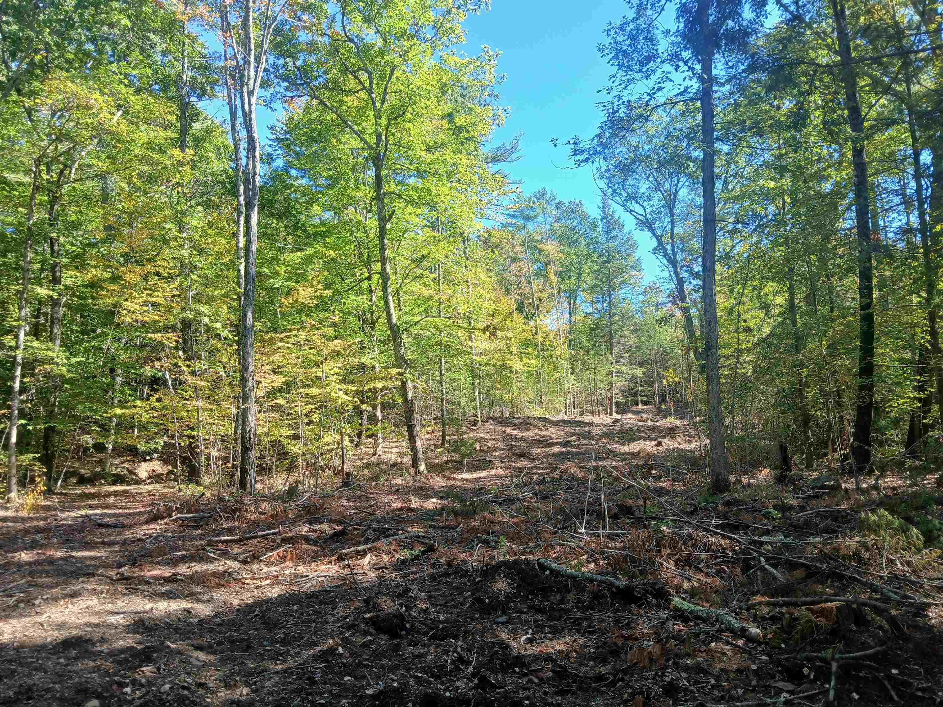 373 Calef Highway Lee, NH 03861 - Photo 9 of 39