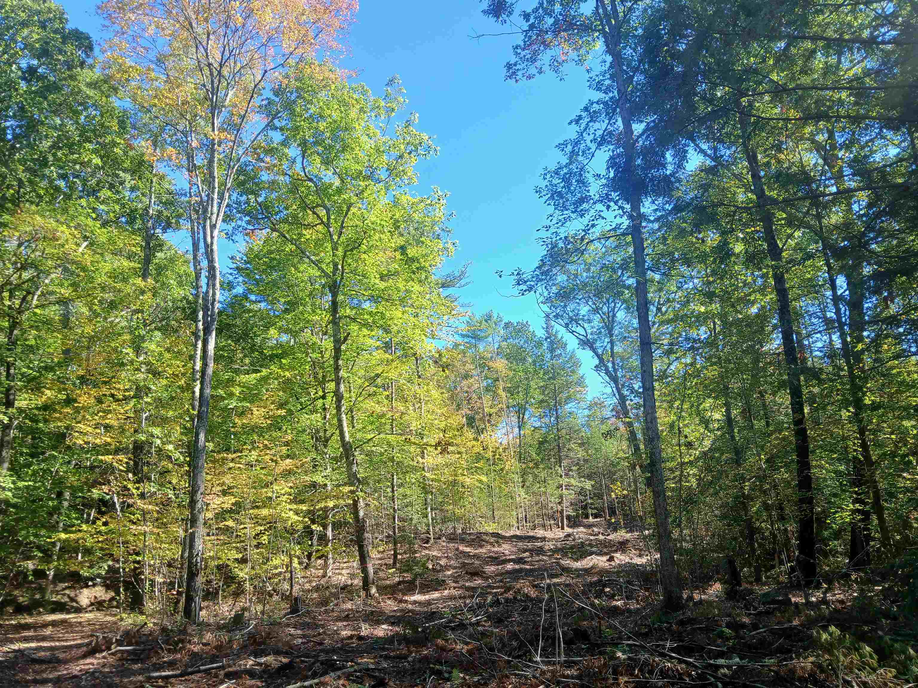 373 Calef Highway Lee, NH 03861 - Photo 10 of 39