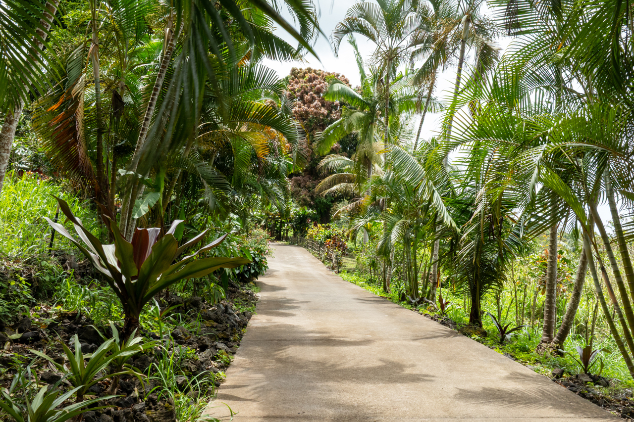 87-493 Kaohe Mauka Road Captain Cook, HI 96704 - Photo 28 of 30