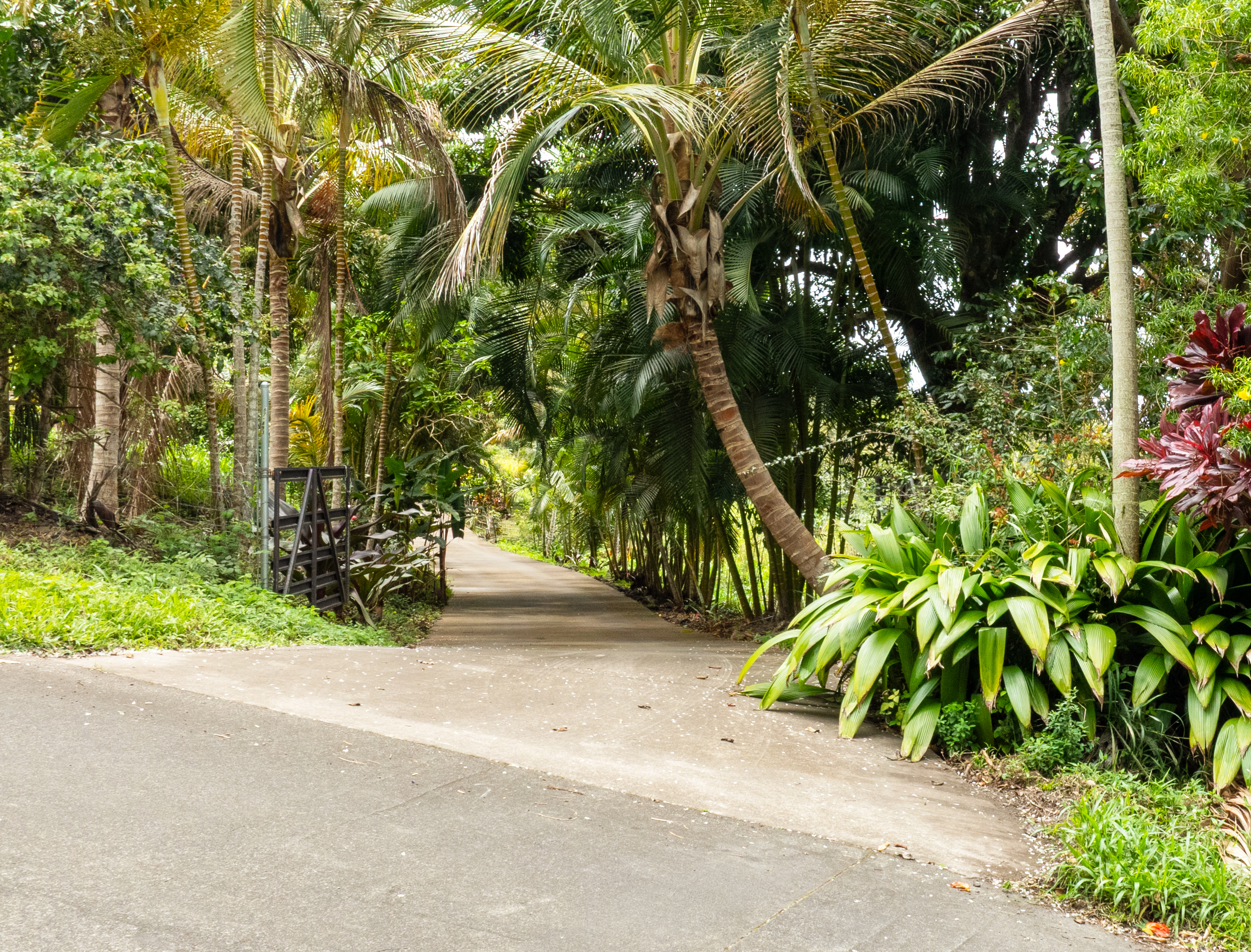 87-493 Kaohe Mauka Road Captain Cook, HI 96704 - Photo 4 of 30