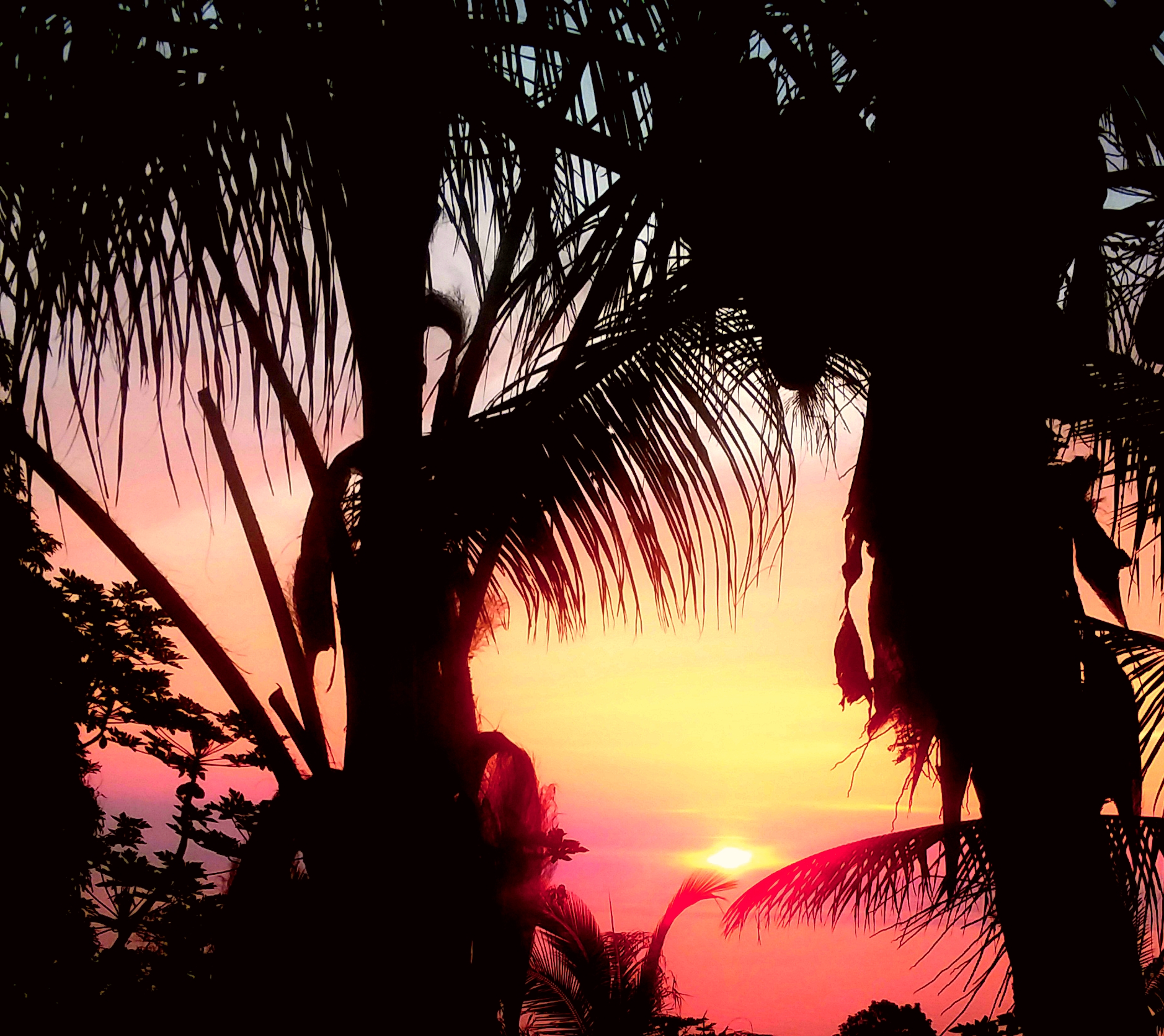 87-493 Kaohe Mauka Road Captain Cook, HI 96704 - Photo 6 of 30