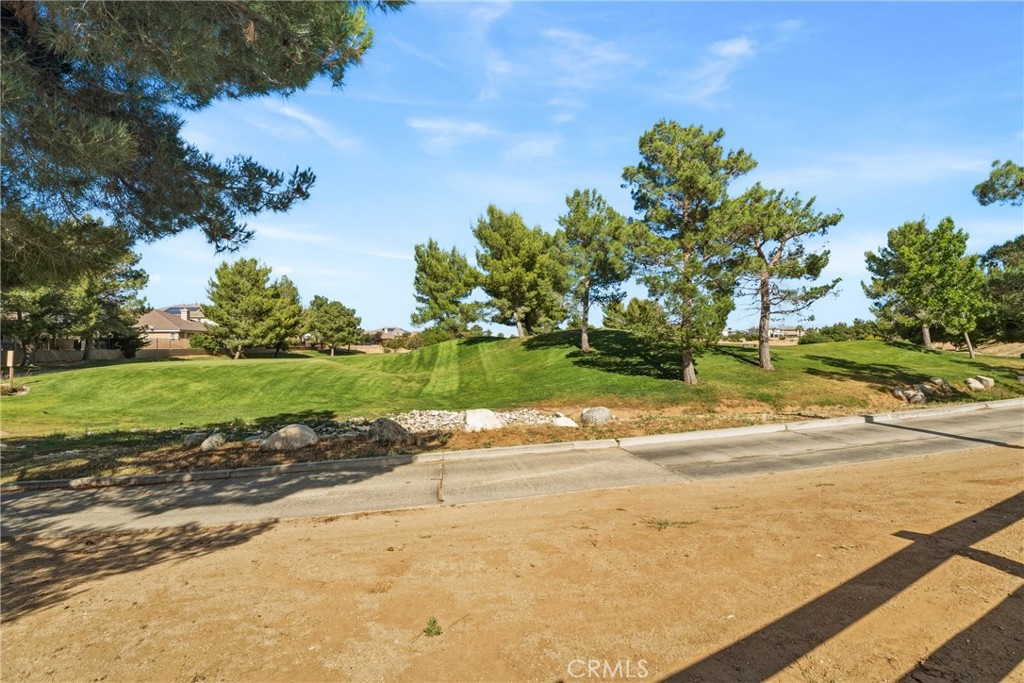3414 Club Rancho Drive Palmdale, CA 93551 - Photo 42 of 45