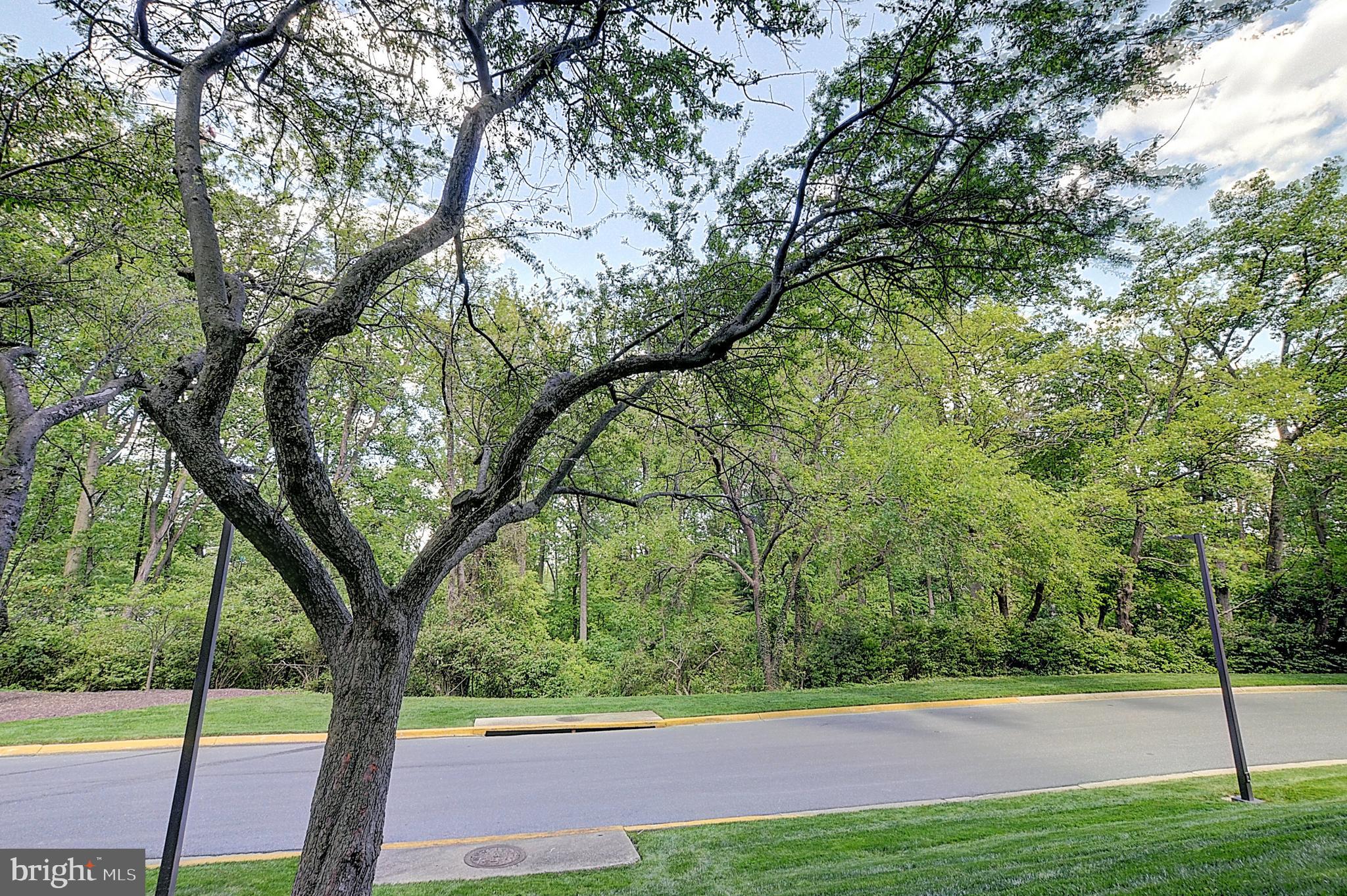 5225 Pooks Hill Road, Unit C28N Bethesda, MD 20814 - Photo 18 of 28 View from Apartment