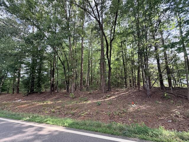 Skipwtih Road, Unit 79 Boydton, VA 23917 - Photo 3 of 9 Gallery Image 3
