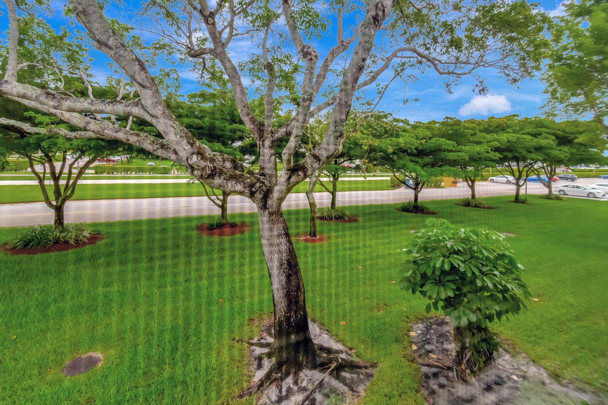 393 Fanshaw J Boca Raton, FL 33434 - Photo 42 of 91 41-web-or-mls-DSC_9830