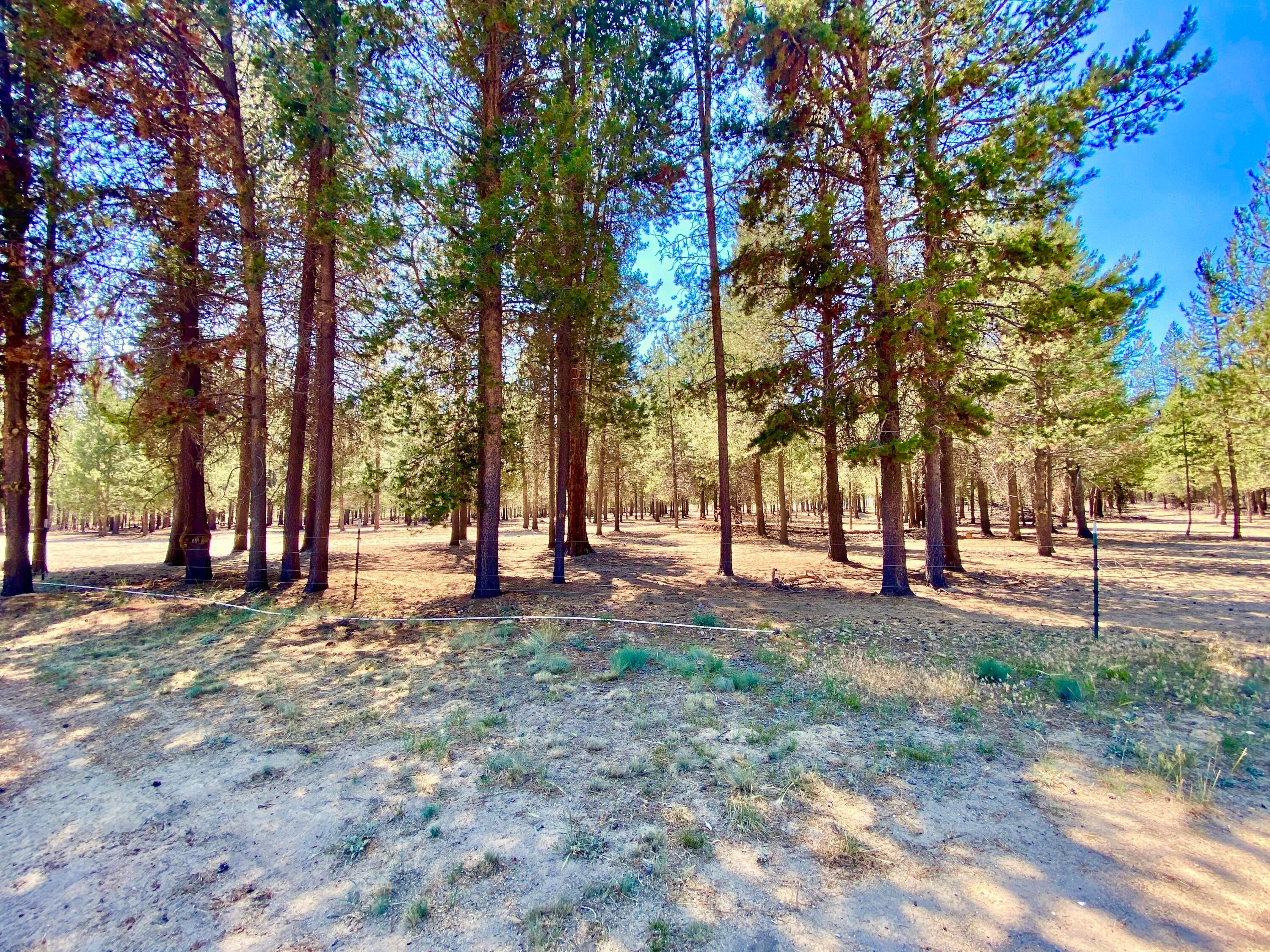 149252 Jerry Road La Pine, OR 97739 - Photo 45 of 51 Clean property
