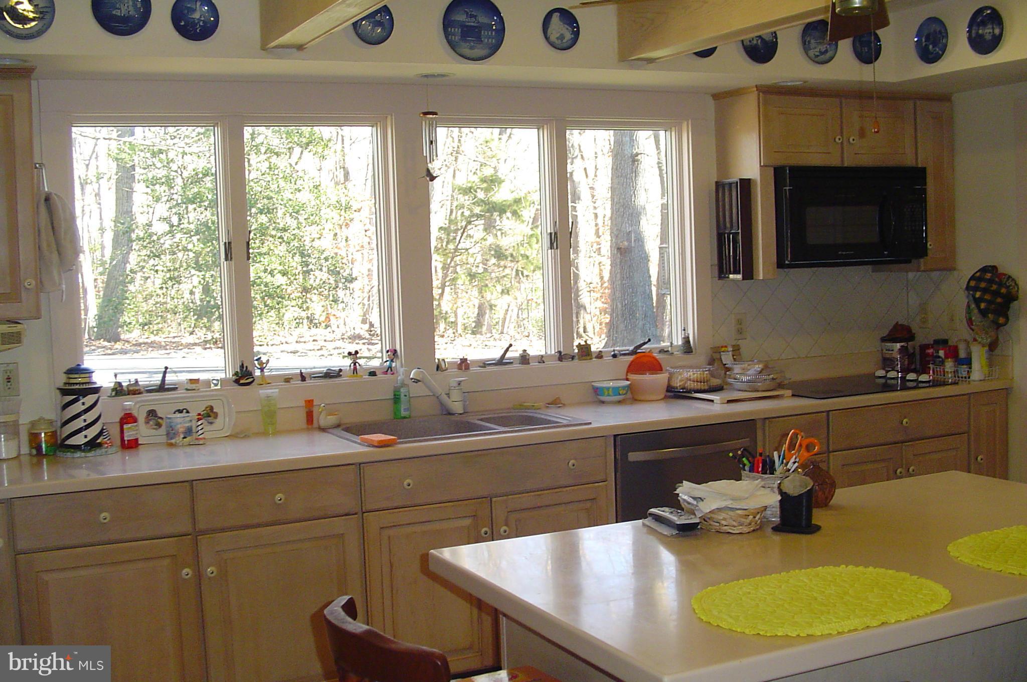 9506 Quail Run Road Denton, MD 21629 - Photo 11 of 17 Kitchen