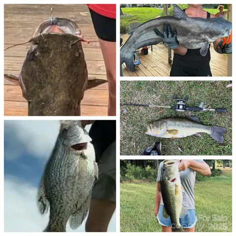 $5,500,000 | 11133 Willow Oak Road, Norwood, NC 28128