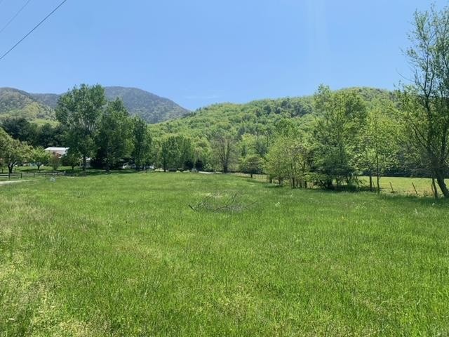 11 Katy Hollar Rd. Road Sevierville, TN 37862 - Photo 5 of 17