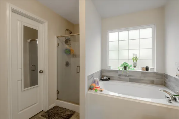 a bathroom with a tub a potted plant and a window