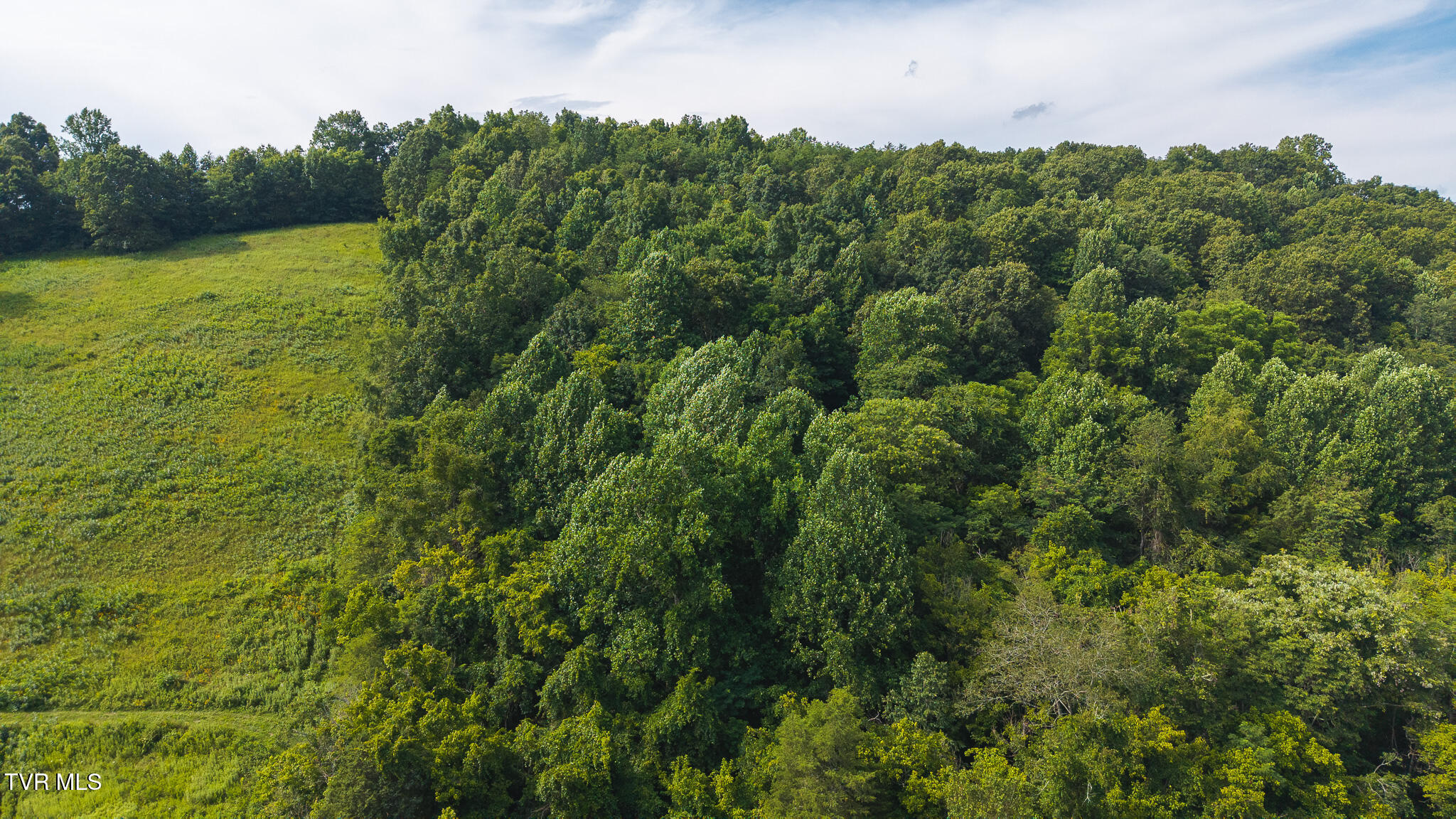 0 Gravely Valley Road Eidson, TN 37731 - Photo 14 of 36 DJI_20250716170910_0746_D