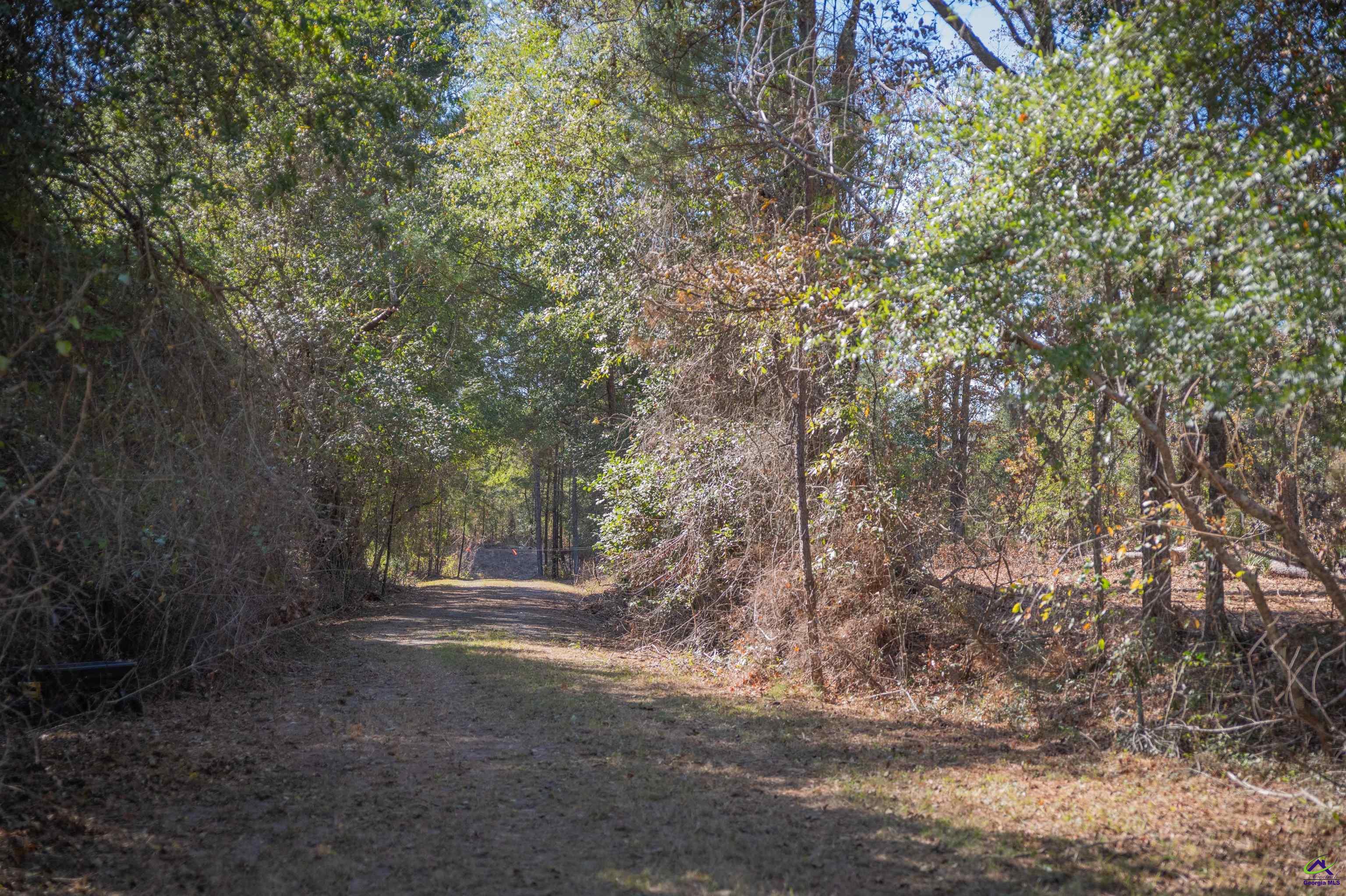 498 White Springs Church Road Gordon, GA 31031 - Photo 32 of 36 Gallery Image 32