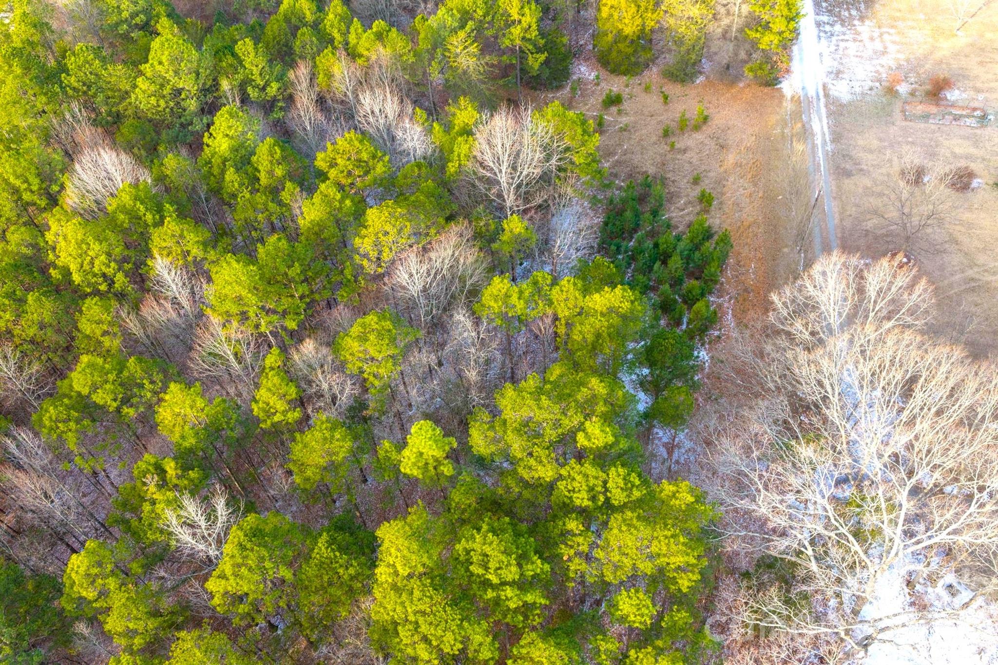 Tbd Simpson Road Locust, NC 28097 - Photo 7 of 10 a backyard of a house with lots of green space