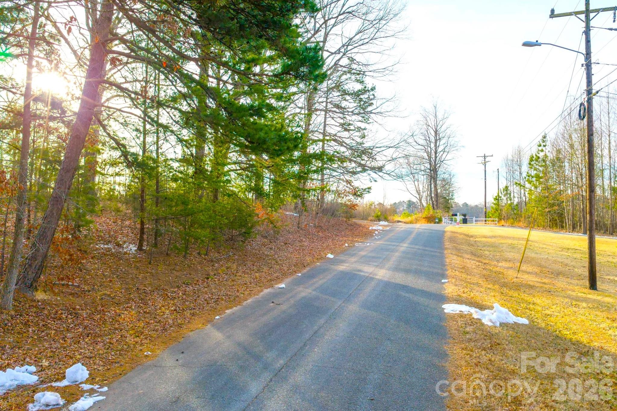 Tbd Simpson Road Locust, NC 28097 - Photo 10 of 10 a view of yard