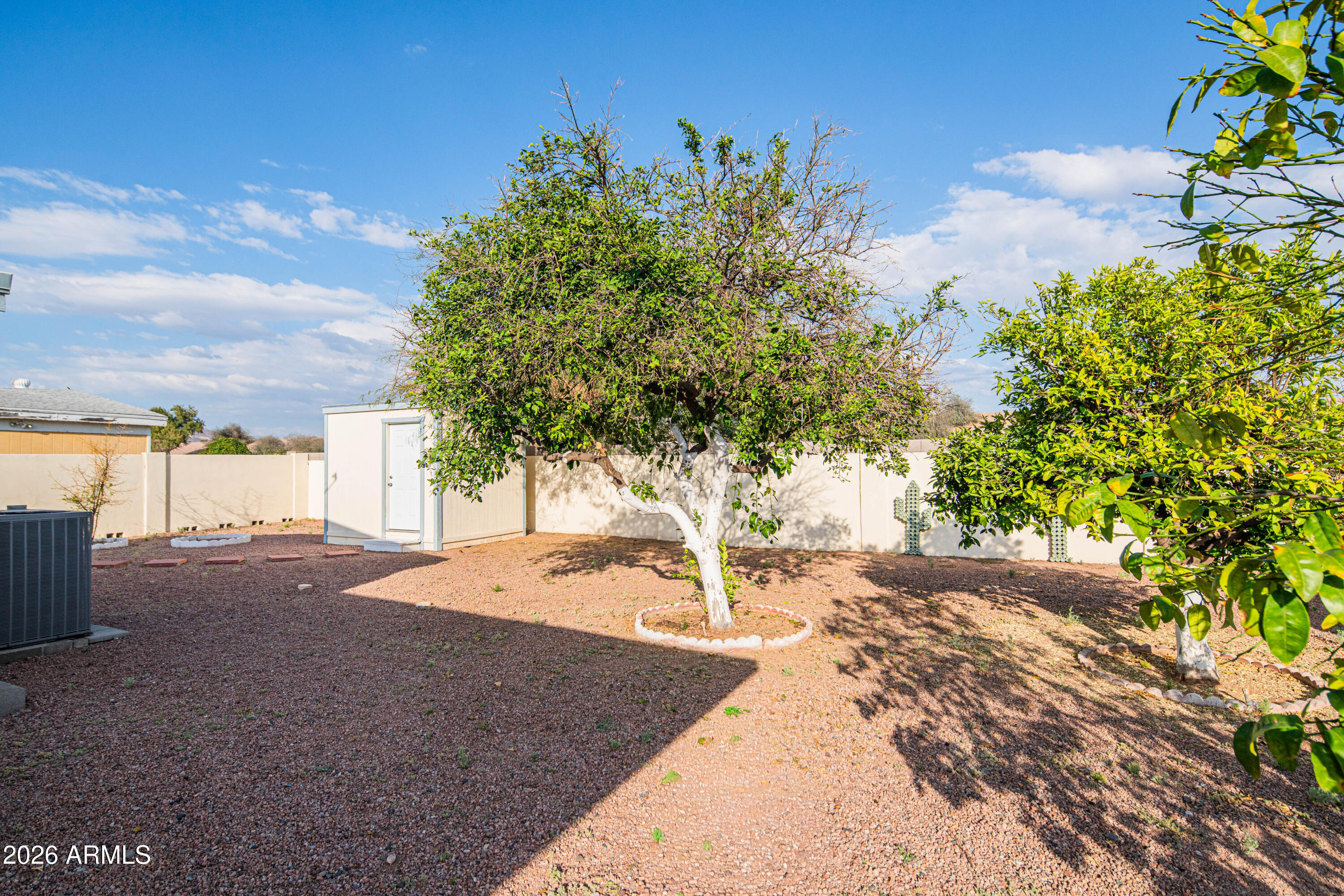 633 South 87th Place Mesa, AZ 85208 - Photo 16 of 55 a view of a yard with plants and trees