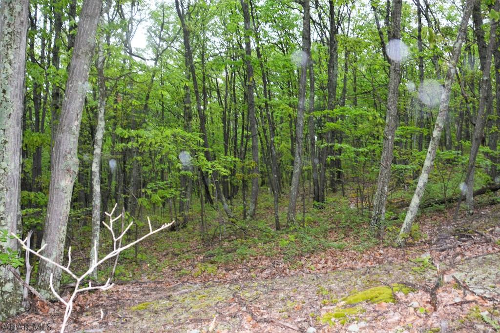 Lot 23 Pine Ridge Road Hyndman, PA 15545 - Photo 14 of 18 Gallery Image 14