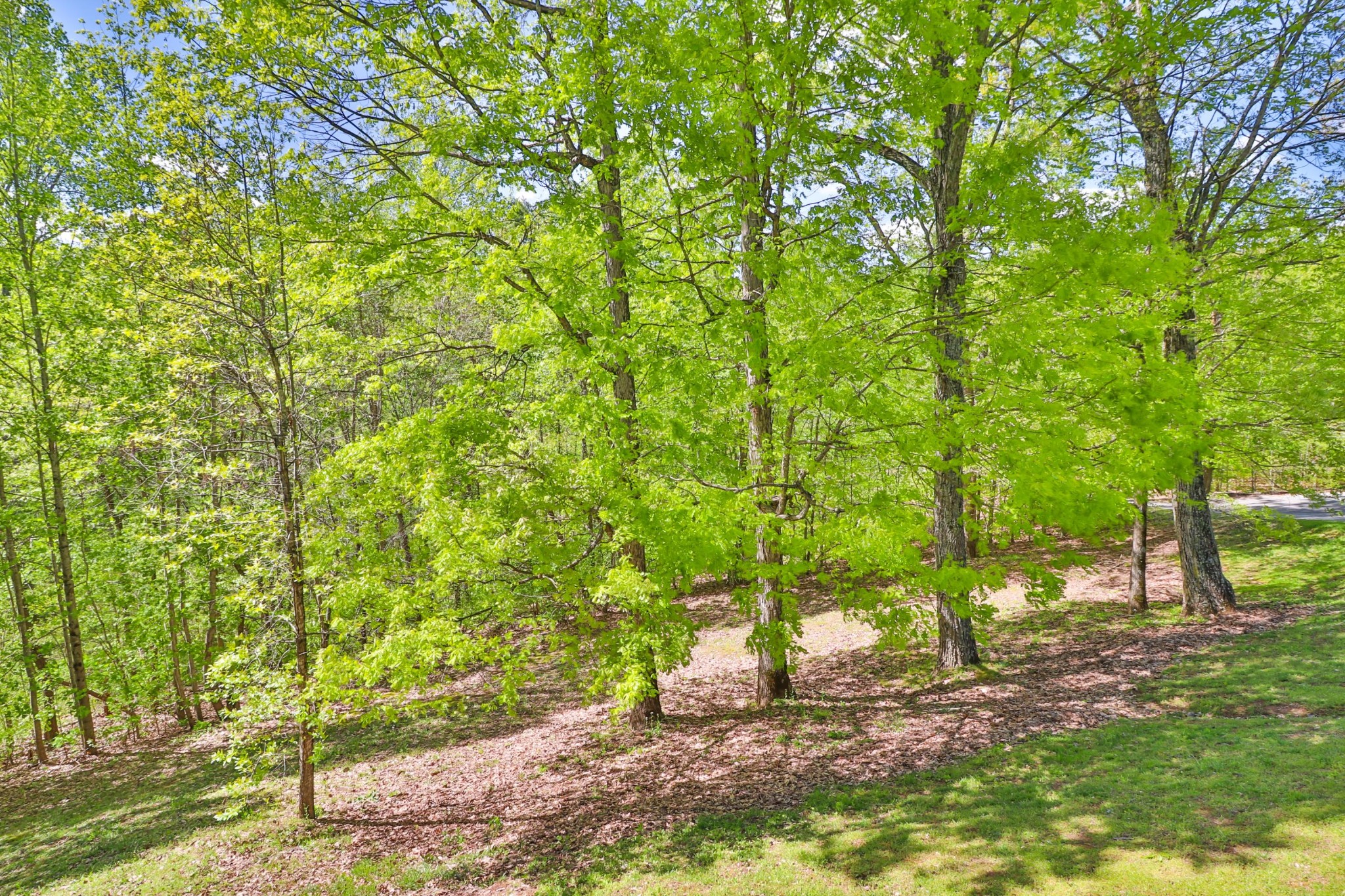 10844 Carmichael Road Knoxville, TN 37932 - Photo 6 of 40 Gallery Image 6