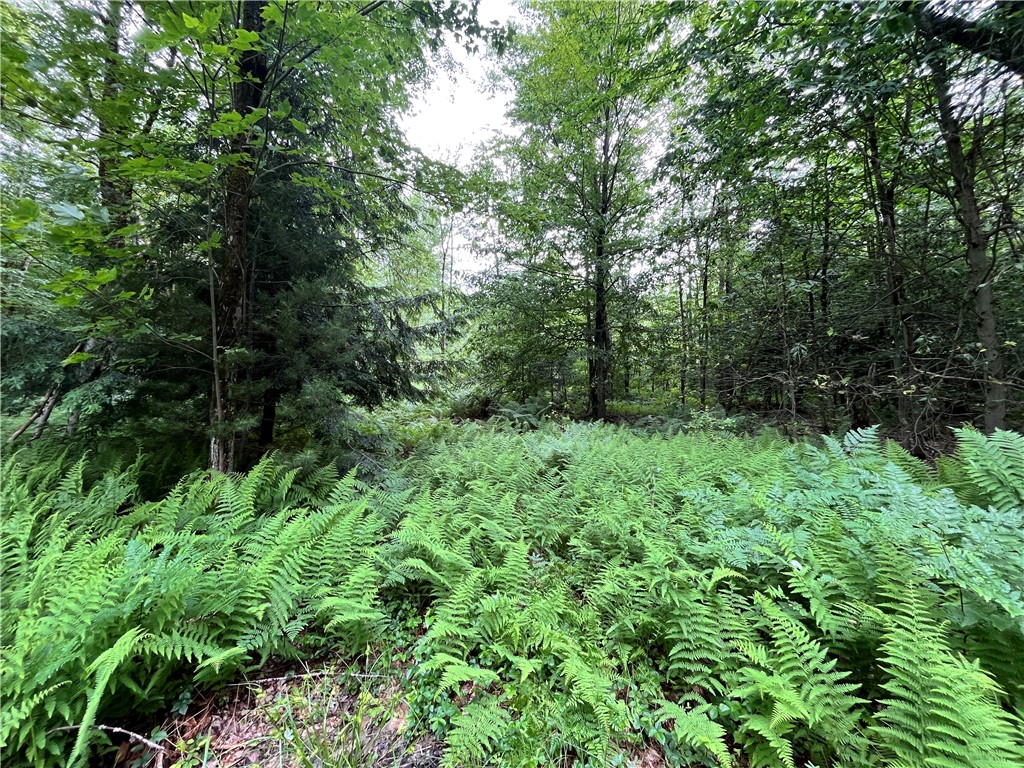 117 Albion Cross Road Parish, NY 13131 - Photo 16 of 34 Gallery Image 16
