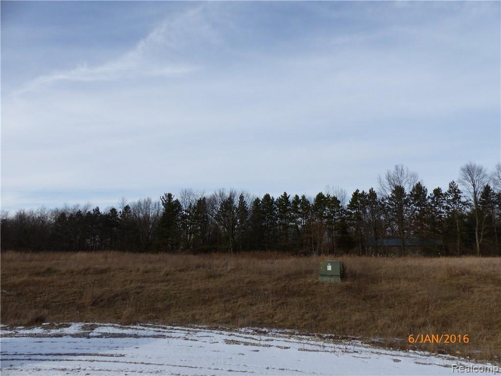 1 Latson Acres Lane Howell, MI 48843 - Photo 2 of 2