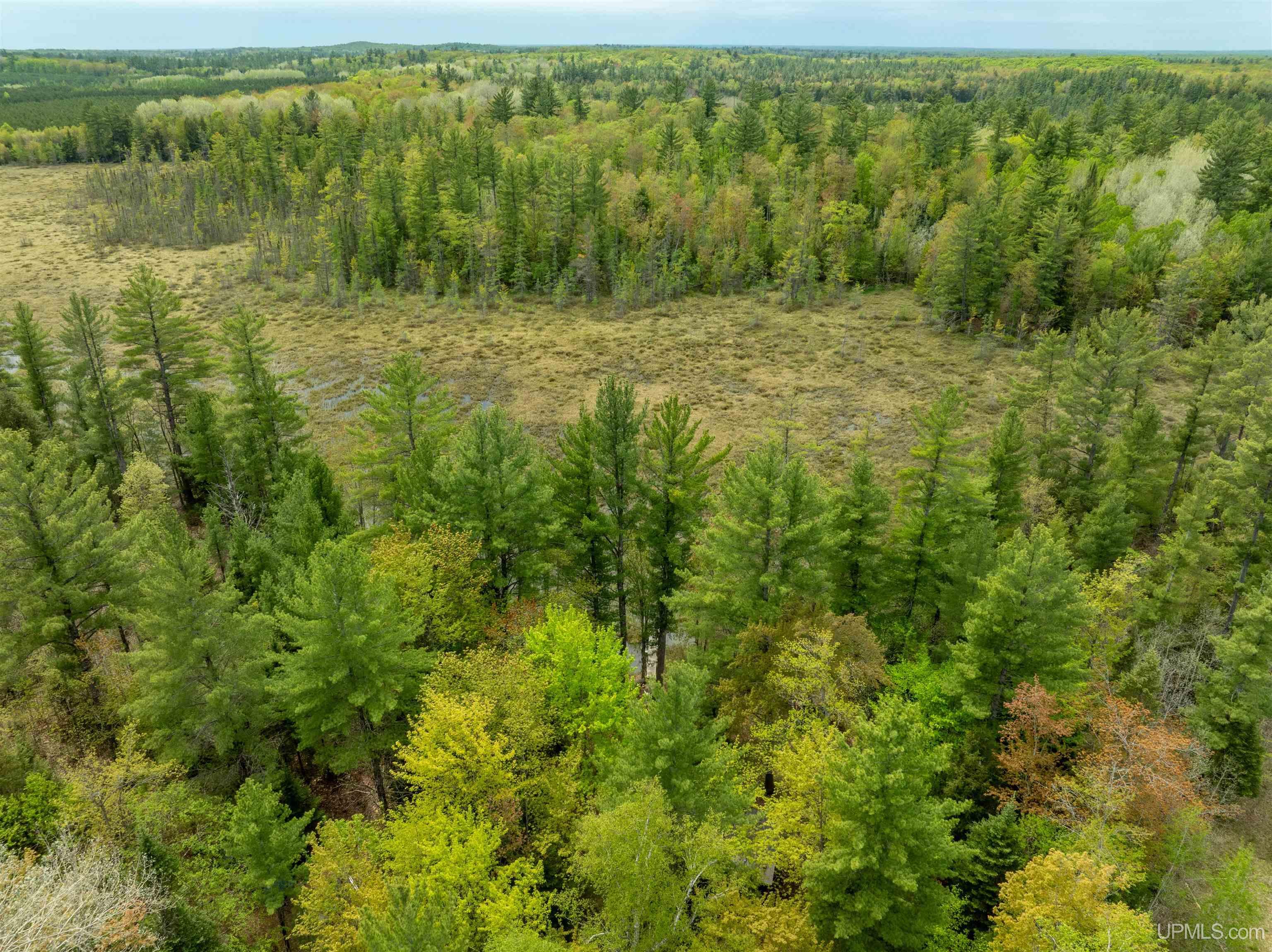 11281 Co Road Wetmore, MI 49895 - Photo 43 of 51