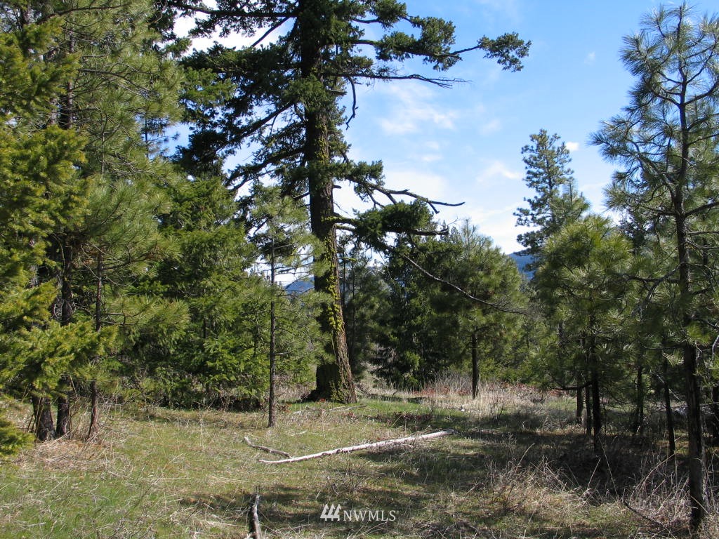 1 Owl Ridge Drive Cle Elum, WA 98922 - Photo 1 of 8 Gallery Image 1
