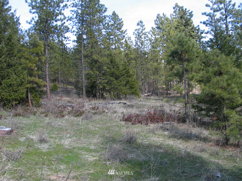 1 Owl Ridge Drive Cle Elum, WA 98922 - Photo 2 of 8 Gallery Image 2