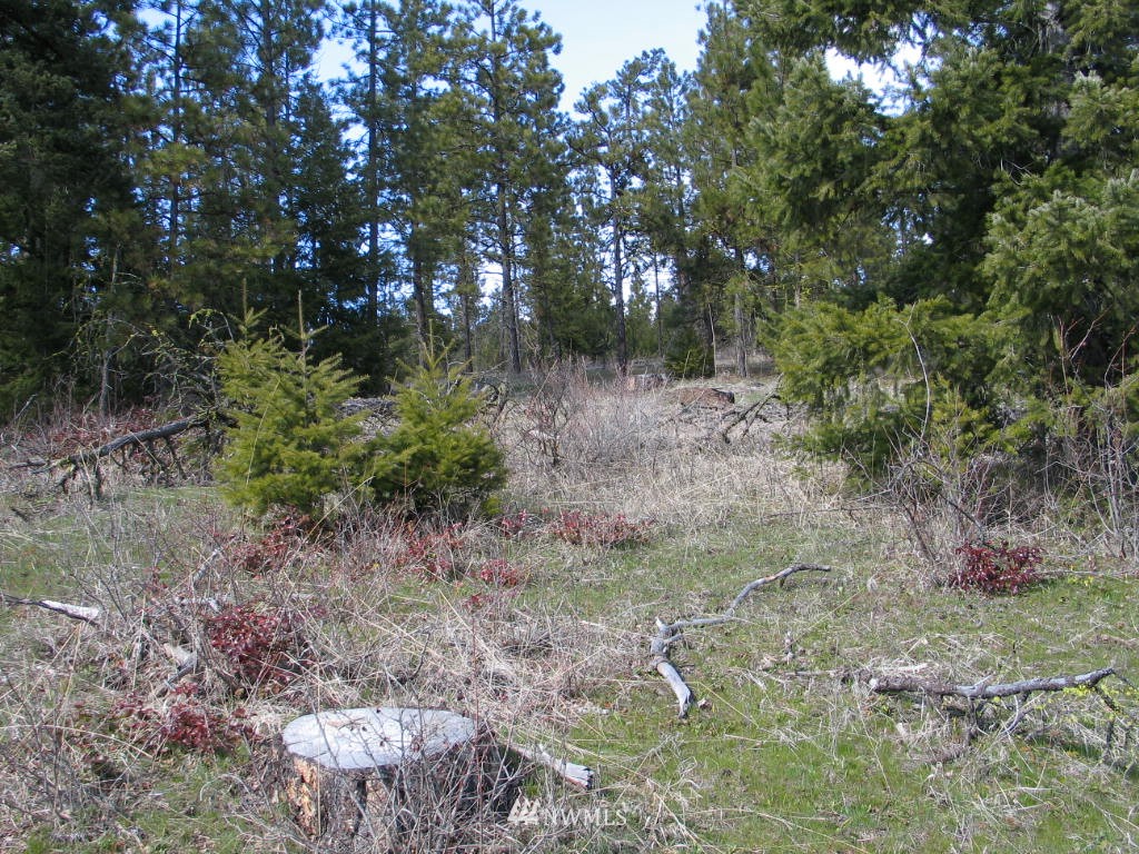 1 Owl Ridge Drive Cle Elum, WA 98922 - Photo 3 of 8 Gallery Image 3
